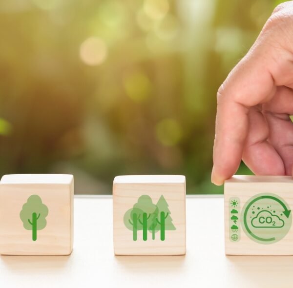 The Environmental Benefits of Insulation: Reducing Your Carbon Footprint
