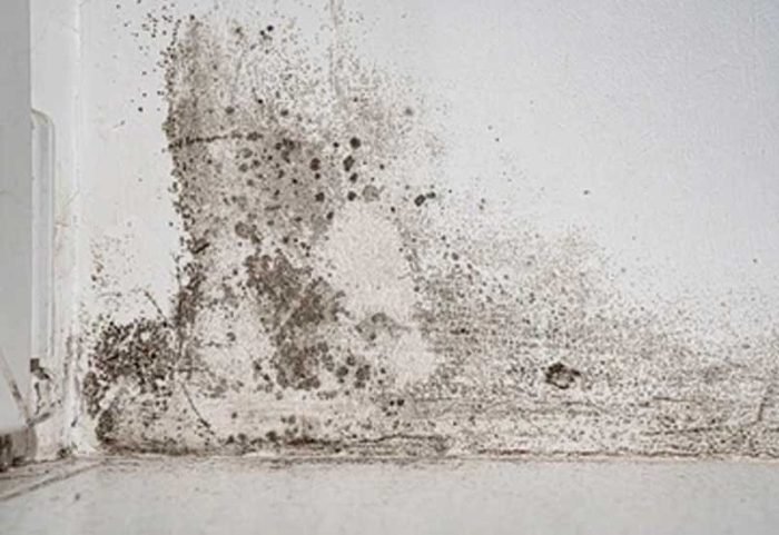 Moisture-and-mold-control Moisture and mold control